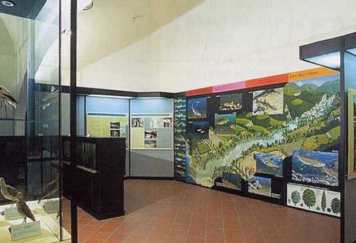 museo paolucci 1.jpg